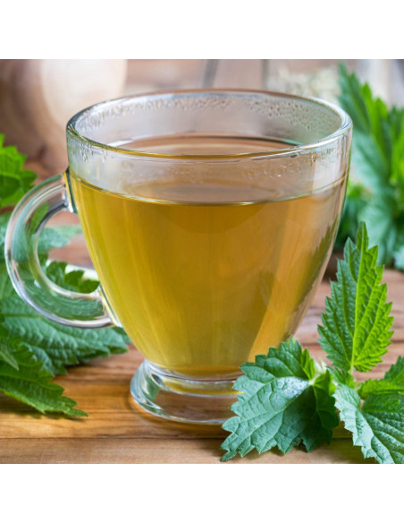 Té de Hoja de Ortiga Orgánico Zokiva - 90 Bolsitas Sin Cafeína