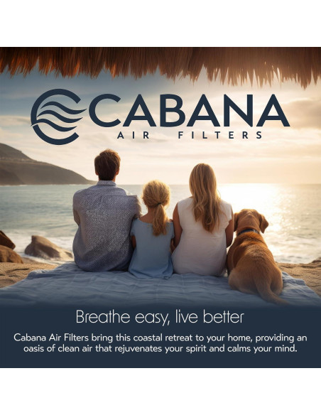 Filtros de Aire Cabana 6-Pack 20x20x2.5cm MERV 13 HVAC Filtros de Aire Cabana 6-Pack 20x20x2.5cm MERV 13 HVAC