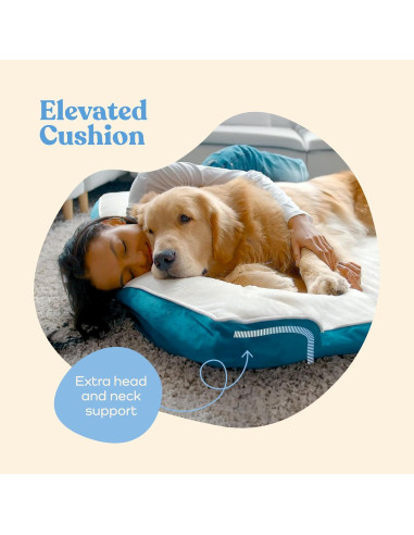 Cama Sofá Ortopédica para Perros Medianos PitPet - Acolchada y Antideslizante