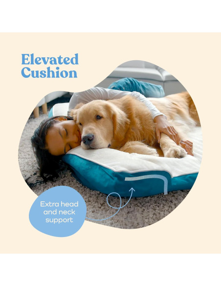 Cama Sofá Ortopédica para Perros Medianos PitPet - Acolchada y Antideslizante