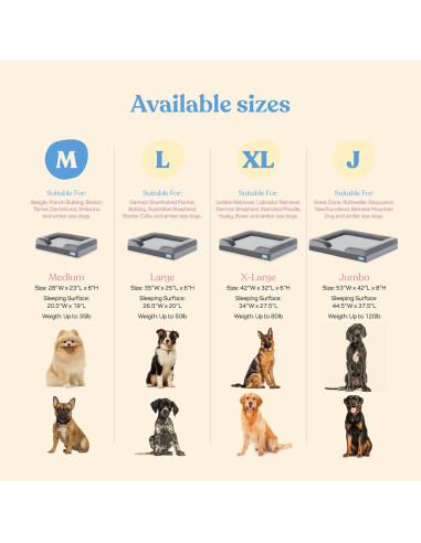 Cama Sofá Ortopédica para Perros Medianos PitPet - Acolchada y Antideslizante