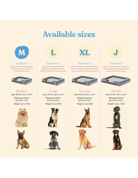 Cama Sofá Ortopédica para Perros Medianos PitPet - Acolchada y Antideslizante