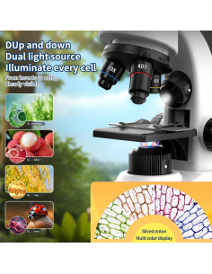 Microscopio Educativo WSDMIC 40X-1600X con Luz LED y Accesorios 2