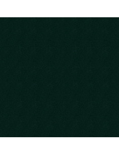 Pintura Automotriz R&E Ford FU Verde Satinado Oscuro 1.5 oz 2