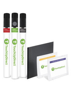 Pintura de Retoque TouchUpDirect Lunar Silver Metallic 1.8ml