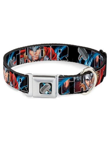Collar de Perro Buckle-Down Thor 2.5cm Ancho 23-38cm Ajustable