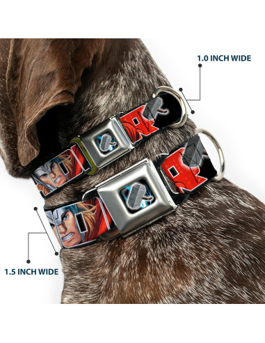 Collar de Perro Buckle-Down Thor 2.5cm Ancho 23-38cm Ajustable