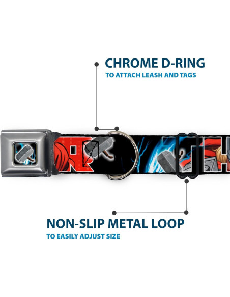 Collar de Perro Buckle-Down Thor 2.5cm Ancho 23-38cm Ajustable