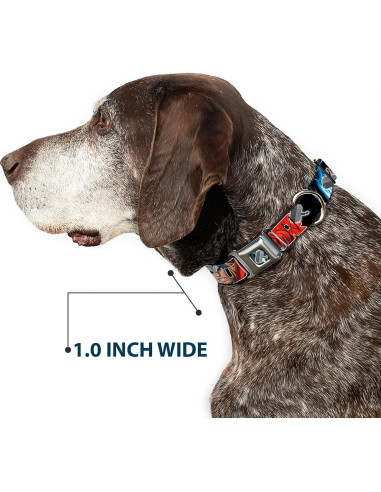 Collar de Perro Buckle-Down Thor 2.5cm Ancho 23-38cm Ajustable