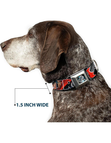 Collar de Perro Buckle-Down Thor 2.5cm Ancho 23-38cm Ajustable