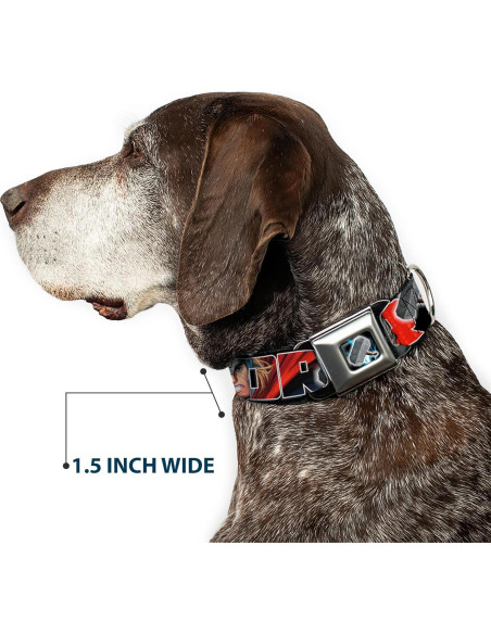 Collar de Perro Buckle-Down Thor 2.5cm Ancho 23-38cm Ajustable