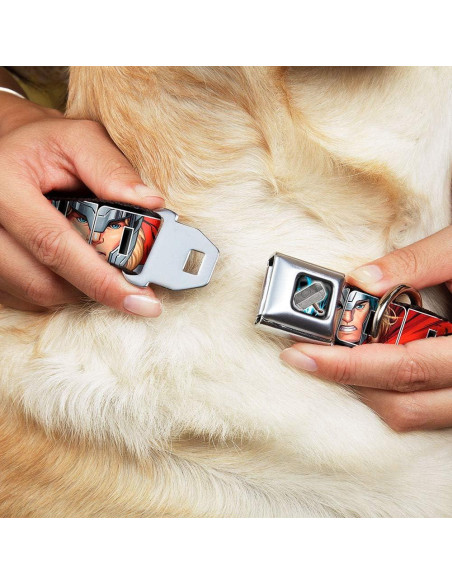 Collar de Perro Buckle-Down Thor 2.5cm Ancho 23-38cm Ajustable