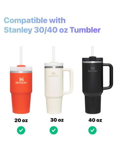 Juego de Cepillos Limpiadores de Popotes Mt.Jun - 300mm, 2 Piezas 2