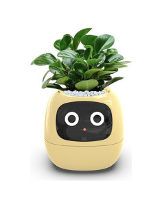 Maceta Inteligente SKwoker con Sensores y Control APP 10x9.6cm