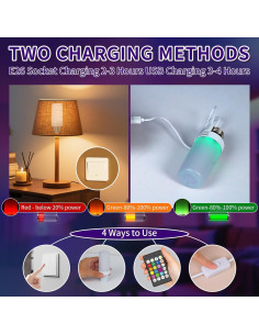 Bombillas Recargables RGB BWKVH 2PK con Control Remoto 2