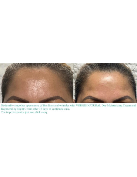 Crema Regeneradora Nocturna VORGIS NATURAL 96g Ácido Hialurónico