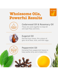 Spray Antipulgas y Garrapatas Zesty Paws 473ml - Alivia Piel Irritada 2