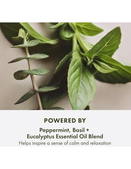 Conjunto de Cuidado de Piel Origins 3 Piezas - Exfoliante, Crema y Aromaterapia