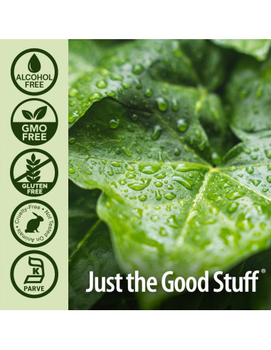 Clorofila Líquida Sin Alcohol 50mg Respuesta de la Naturaleza