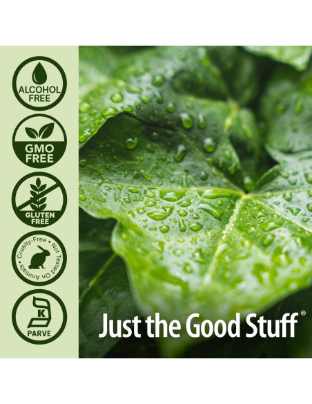 Clorofila Líquida Sin Alcohol 50mg Respuesta de la Naturaleza