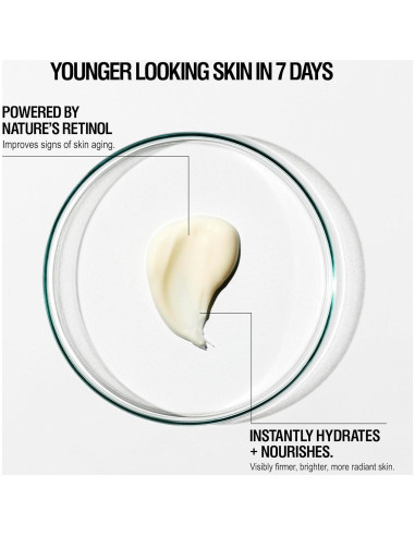 Crema Nocturna Regeneradora Grown Alchemist 40ml - Antienvejecimiento