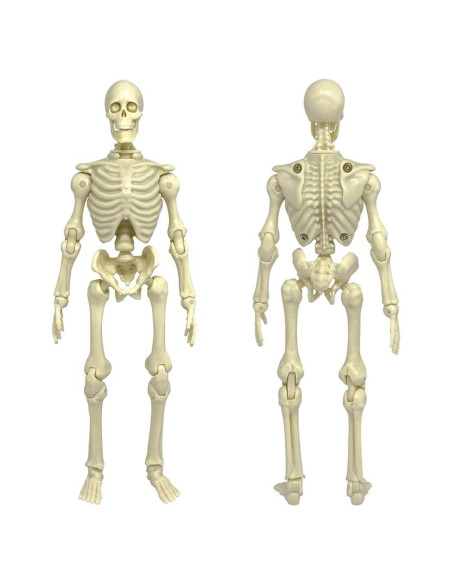 Figura de Acción Esqueleto Articulado 20 cm - Figures Toy Company Figura de Acción Esqueleto Articulado 20 cm - Figures Toy Company