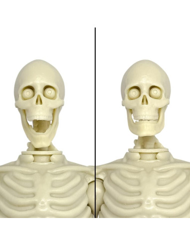 Figura de Acción Esqueleto Articulado 20 cm - Figures Toy Company