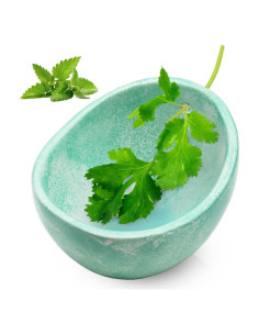 Tazón de Cerámica Deshojador de Hierbas Rimigood 230g