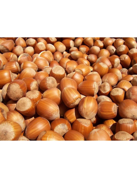 Cascanueces de Madera Efo Hongo - Herramienta Ergonómica para Nueces
