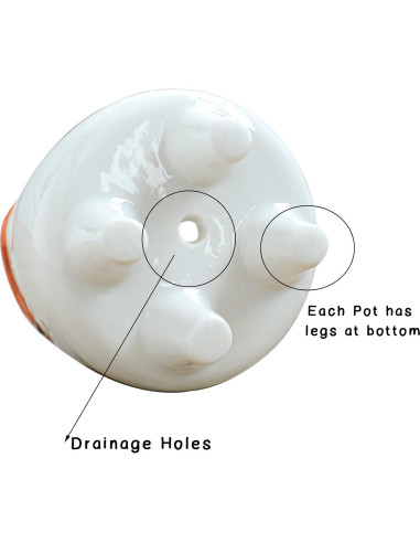 Macetas Suculentas Cerámica ARTKETTY 8 Pcs con Drenaje