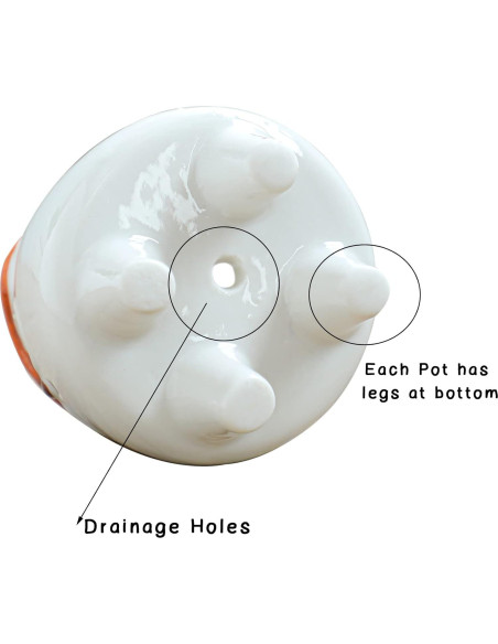 Macetas Suculentas Cerámica ARTKETTY 8 Pcs con Drenaje