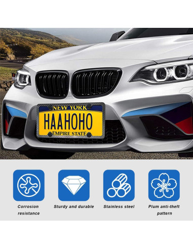 Tornillos Antirrobo MUQIDA para Placas de Matrícula - Acero Inoxidable