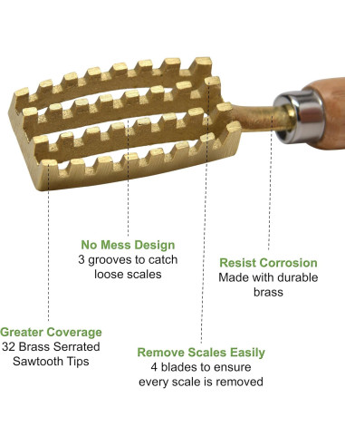 Cepillo para Escalar Pescado Kwizing - Hecho en Japón, 32 Dientes de Latón