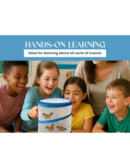 Jaula Plegable para Mariposas Nature Gift 30.5cm Malla Transpirable Jaula Plegable para Mariposas Nature Gift 30.5cm Malla Transpirable