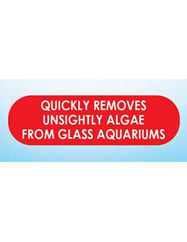 Almohadilla de Algas API para Acuarios de Vidrio 24 cm