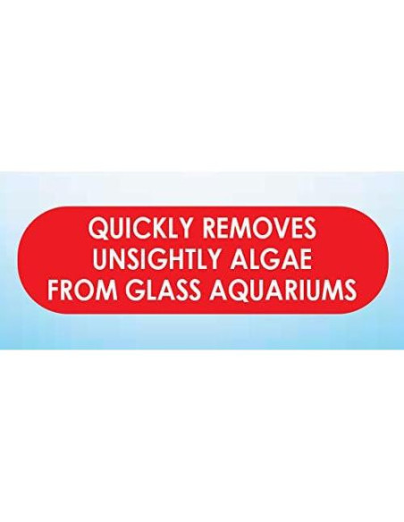 Almohadilla de Algas API para Acuarios de Vidrio 24 cm