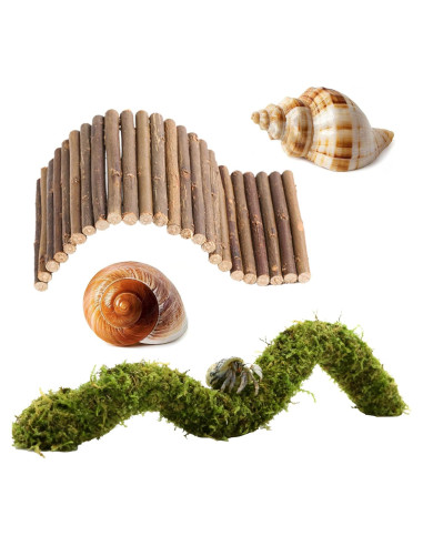 Accesorios para Cangrejo Ermitaño COSOC - 4 Piezas Naturales