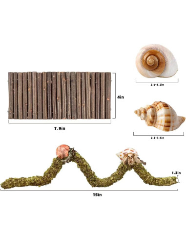 Accesorios para Cangrejo Ermitaño COSOC - 4 Piezas Naturales