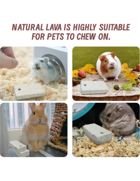 18 Juguetes de Masticar para Mascotas HZJPIN - Piedra Lava Natural