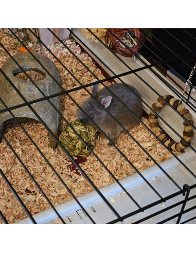 6 Bolas de Heno Timothy MUYG para Conejos y Hámsters 7.6 cm