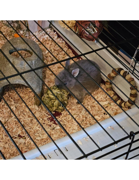 6 Bolas de Heno Timothy MUYG para Conejos y Hámsters 7.6 cm