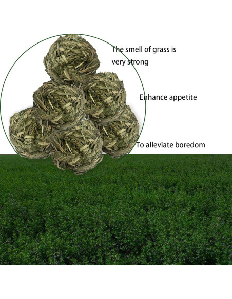 6 Bolas de Heno Timothy MUYG para Conejos y Hámsters 7.6 cm