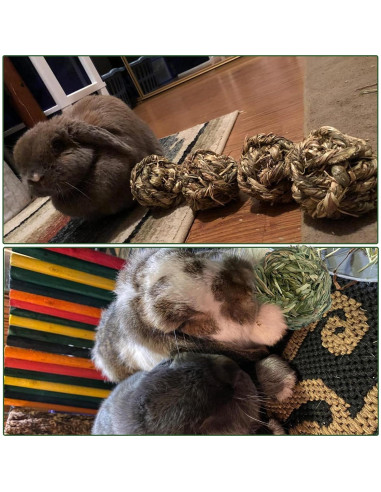 6 Bolas de Heno Timothy MUYG para Conejos y Hámsters 7.6 cm