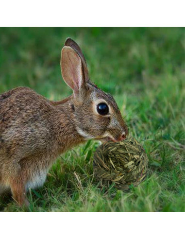 6 Bolas de Heno Timothy MUYG para Conejos y Hámsters 7.6 cm