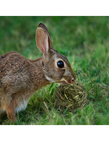 6 Bolas de Heno Timothy MUYG para Conejos y Hámsters 7.6 cm