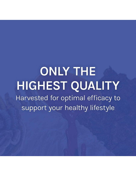 Suplemento de Hongos Host Defense Stamets 7 - 30 Cápsulas