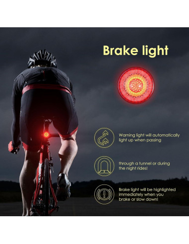 Luz Trasera Inteligente Dali Energy Cat 200 Lúmenes IP66