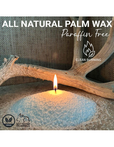 Kit de Fabricación de Velas Fiora Naturals - 30 Mechas, 510g Cera