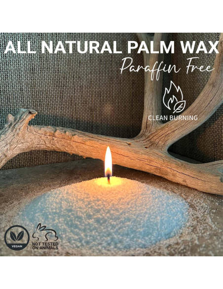 Kit de Fabricación de Velas Fiora Naturals - 30 Mechas, 510g Cera