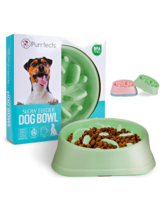 Cuenco de Alimentación Lenta Purrfects Verde Menta 20.3 cm